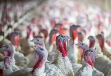 Warm weather ventilation management