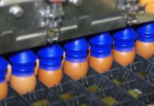 European hatcheries are introducing CHEGGY Sex determination in the egg is ready for high-volume applica-tion