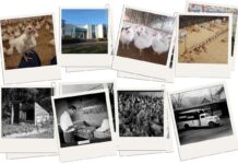 Hubbard celebrates 100 years commitment to poultry breeding