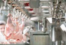 Regional concentration in global poultry meat production