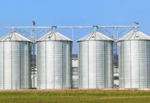 Performance, intestinal morphology and antioxidant status of broilers fed o-regano essential oil or an organic acid blend