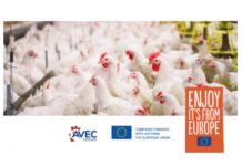 Reducing the use of antibiotics in the meat sector