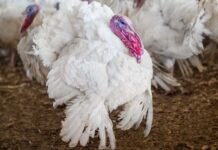 Management best practices: small details can have the big-gest impact