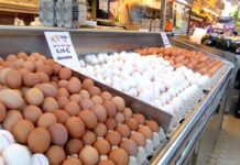 Regional concentration in global egg production