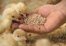 14th International Feed Regulators Meeting