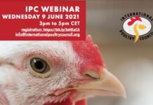IPC announces June webinar on “Engaging internationally & Global market insights”