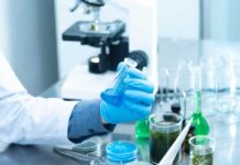 Spirulina platensis Algae, a novel poultry feed additive