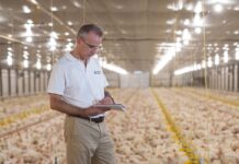 Response of broilers fed phytase enzymes of different optimal pH ranges alone or in combination