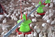 Andrea Pedrini, CEO of Cascina Palazzo outlining the benefits of Modula by AZA International