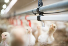 Reasons for preventing the build-up of biofilm