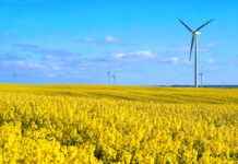 Sustainable feed supply for worldwide poultry production