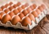 EU Egg Market Update – October 2025