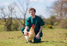 Biodiversity – breeding choice for the markets of today and tomorrow