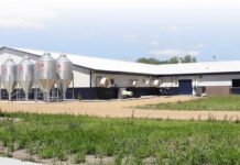 Back to basics: we need to concentrate on basic management skills