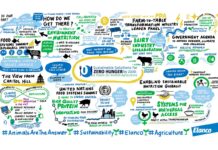 Business leaders, global experts convene in effort to move livestock production to climate-neutrality
