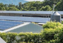 Biosecurity: cleaning and disinfection