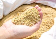 Compound feed production in 2021 is expected to slightly decrease