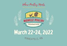 MPF Slice of learning Educational Program