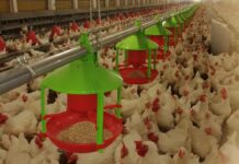 Moroccoan company Tecnoimpianti, exclusive dealer of AZA International