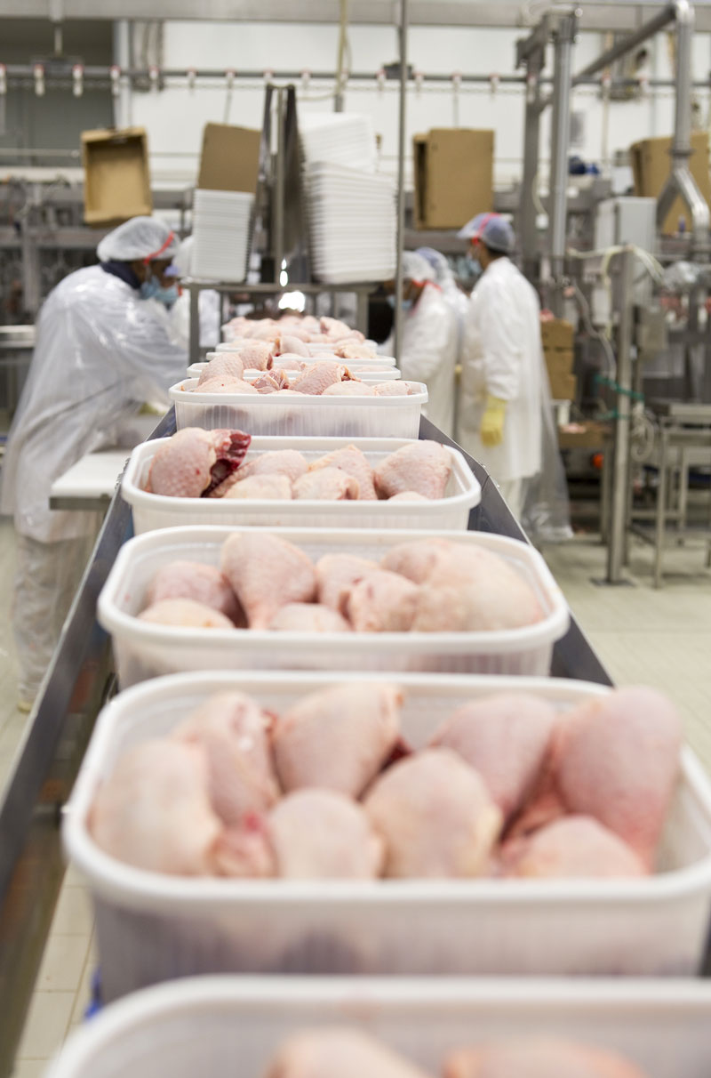 Pre-harvest interventions and implications of safety for turkey processing