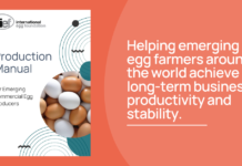 Production Manual launched to support sustainable, affordable egg production in developing countries