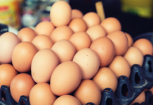 Patterns and dynamics of the EU poultry industry: a status report – Part 1