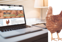 Hy-Line International launches new online management guide system