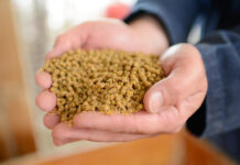 Use of commercial premixes with low levels of organic trace minerals on egg production performance, and egg shell characteristics in layers