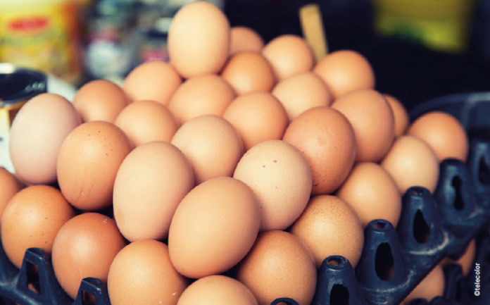 eggs