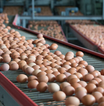 June heatwave reduces French egg production by up to 2%