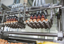 Patterns and dynamics of global egg and poultry meat trade. Part 1 – Egg trade