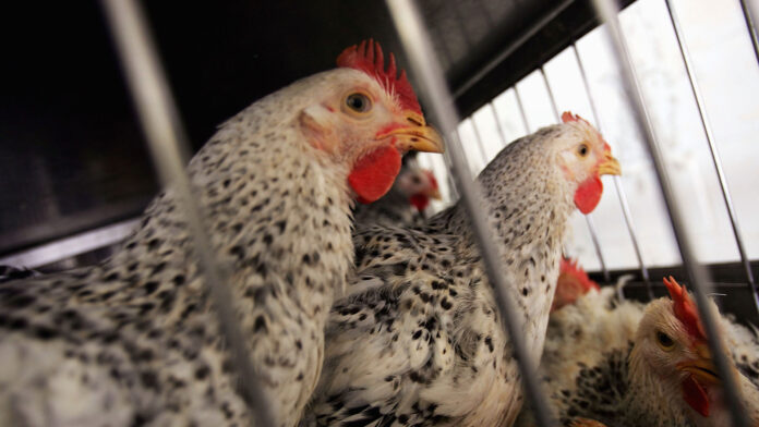 getty-transportation