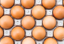 Global egg industry faces optimistic economic outlook for 2022