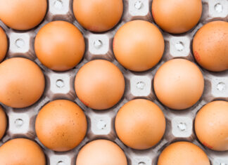 EU Egg Market Update – October 2025