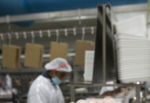 The economic importance of the abdominal fat pad