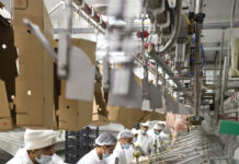 Patterns and dynamics of global egg and poultry meat trade. Chicken and turkey meat trade