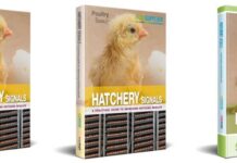 WPSA, new publication: Hatchery Signals