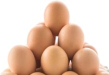 The impact of geopolitical instability on the egg industry