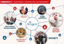 Transparency, communication and engagement with society