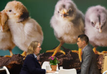 EuroTier 2022, focus on global livestock trends