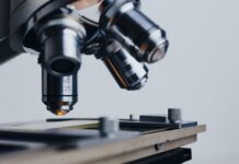 USPOULTRY and Foundation approve $293,000 in new research grants