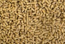 Barley in pelleted broiler starter diets: effects of carbohydrase supplementation and steam-conditioning temperature