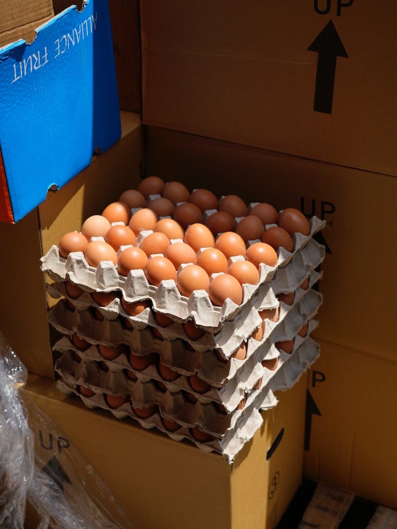 An insight into the Spanish poultry industry – Hen eggs