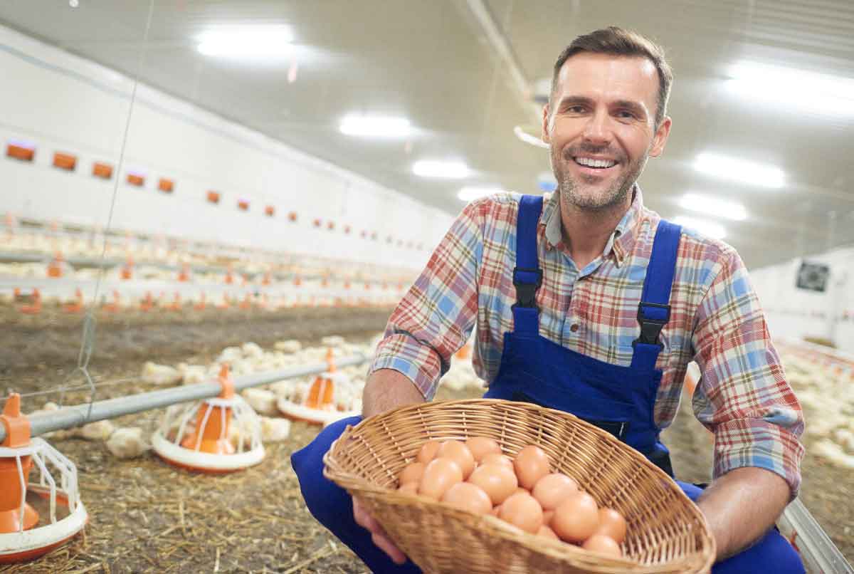 Isn’t any antibiotics ever (NAE) poultry manufacturing sustainable?