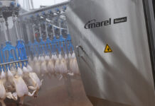 Data-driven Nuova-i performs consistently high and needs little human intervention