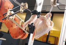 Biofilms – The hidden threat