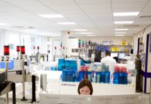 Detection and quantification of Gallibacterium anatis and Mycoplasma synoviae