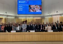 IFIF and FAO held their 21st annual meeting in Rome