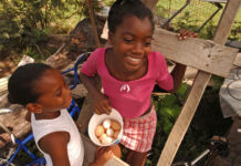 FAO highlights contribution of animal source foods to healthy diets