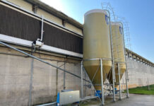 Ovostella chooses Eurosilos Sirp fiberglass silos